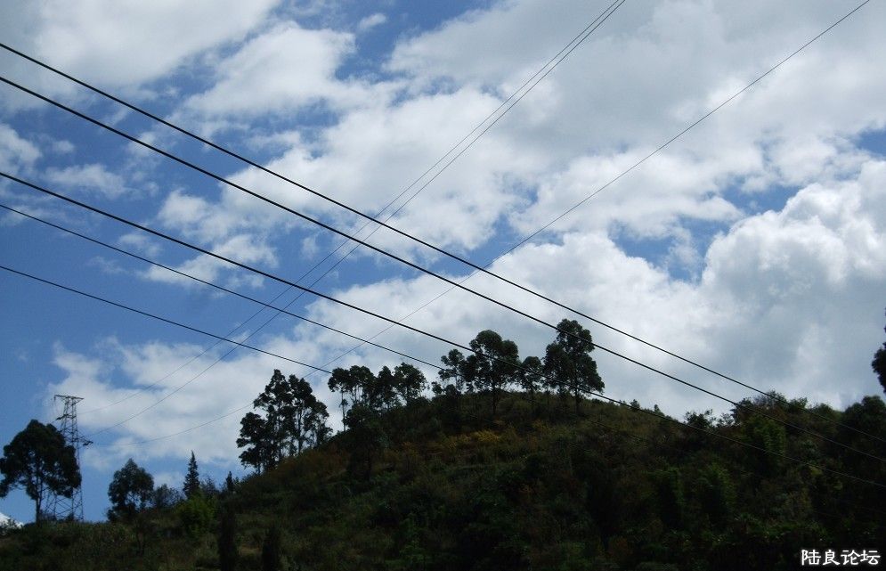 ���� (37).jpg