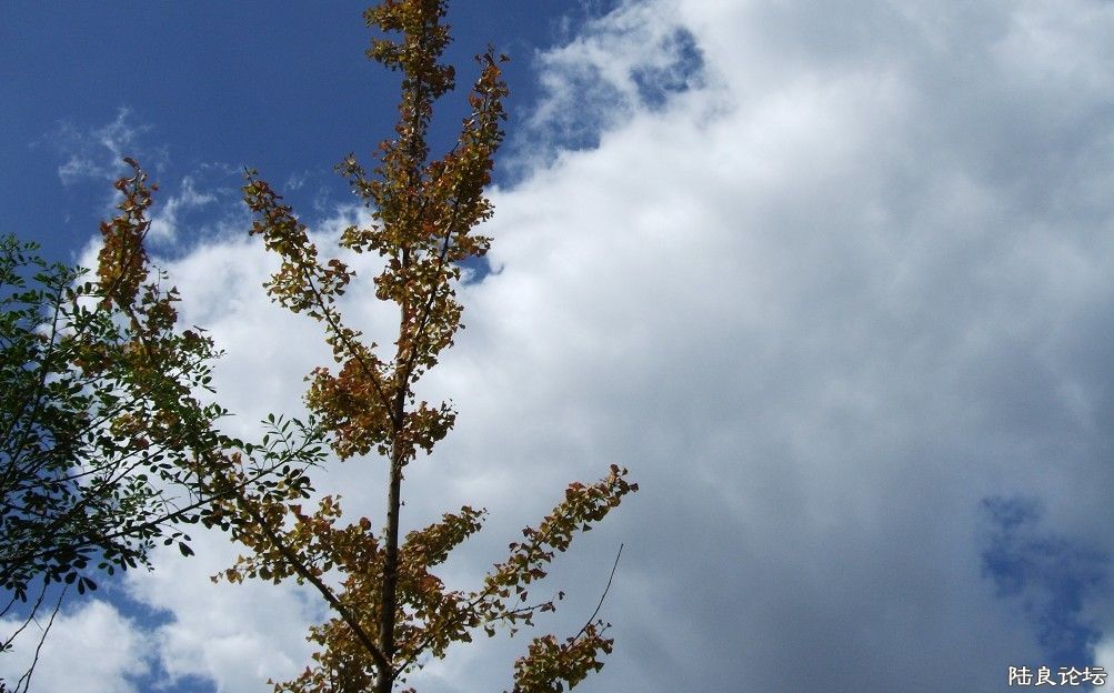 ���� (39).jpg