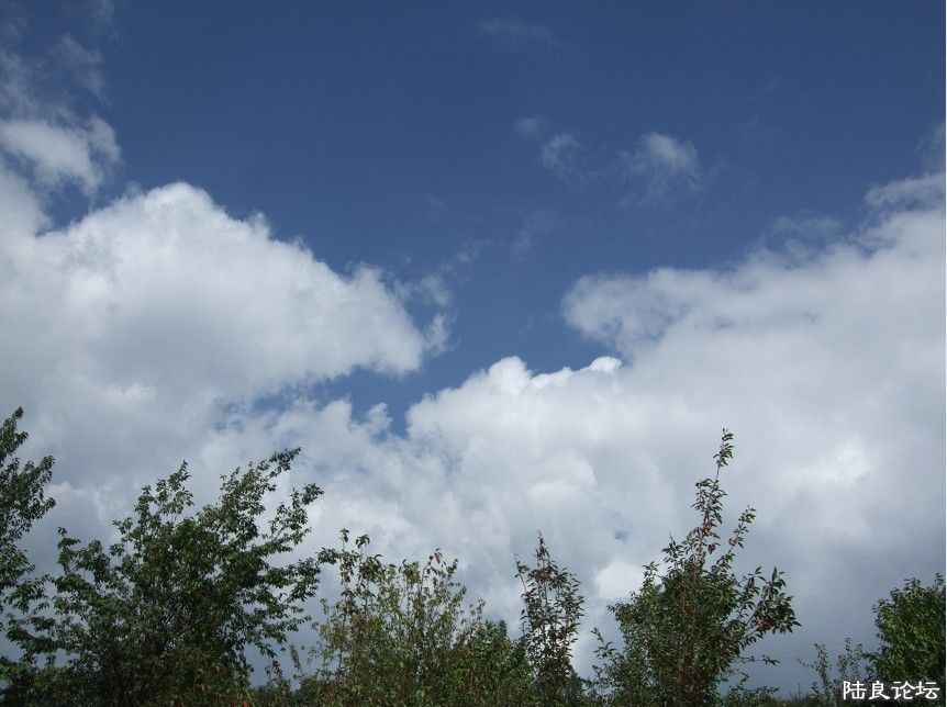 ���� (44).jpg