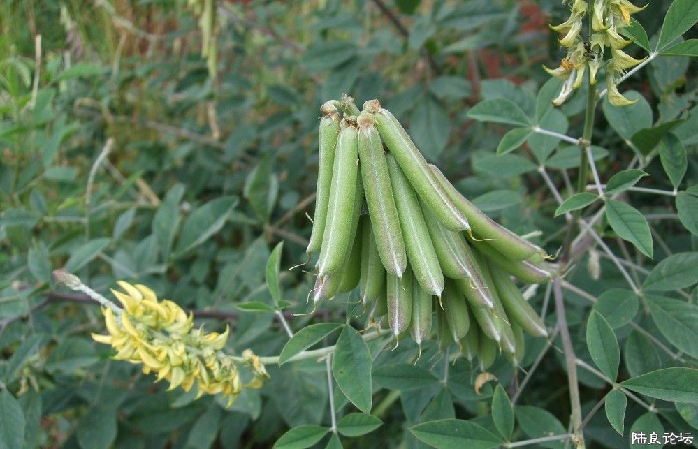 ���� (46).jpg