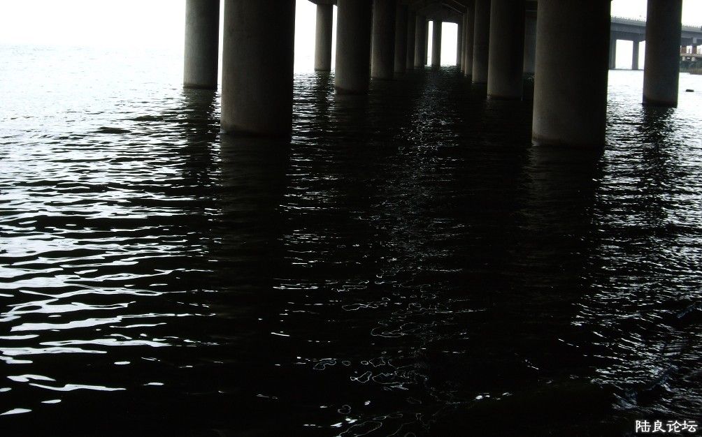 ���� (54).jpg