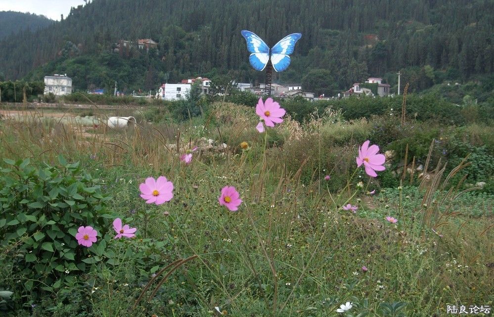 ���� (56).jpg