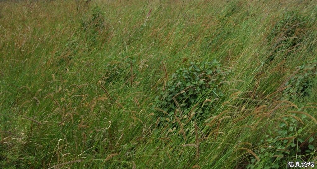 ���� (58).jpg