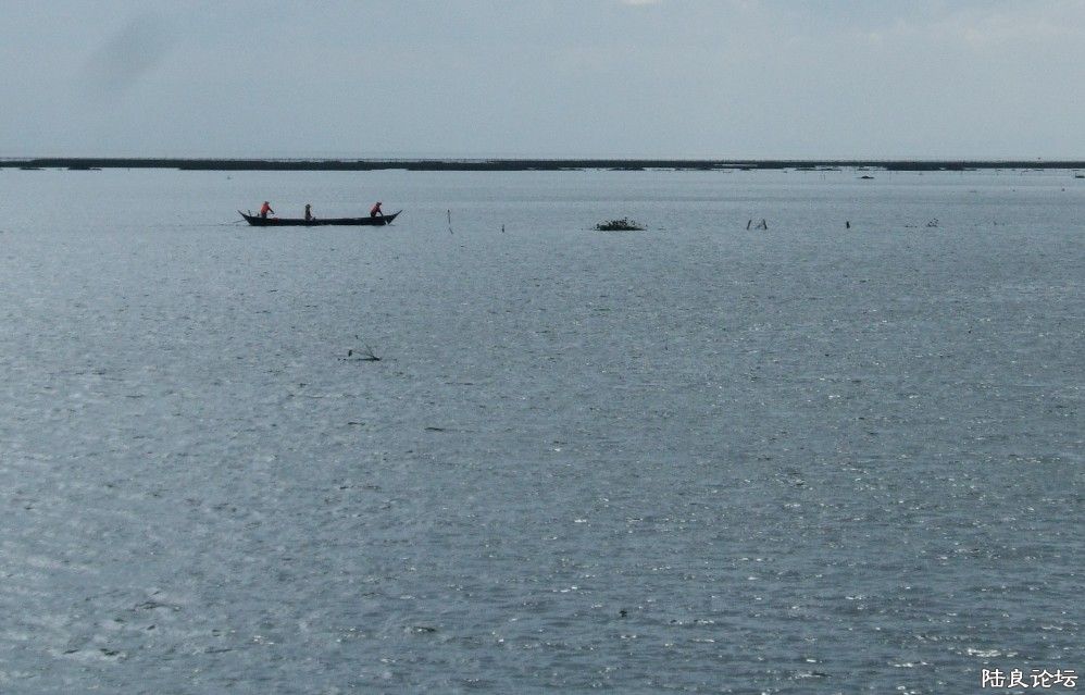 ���� (61).jpg