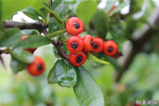 ���ʲô�����ˣ�