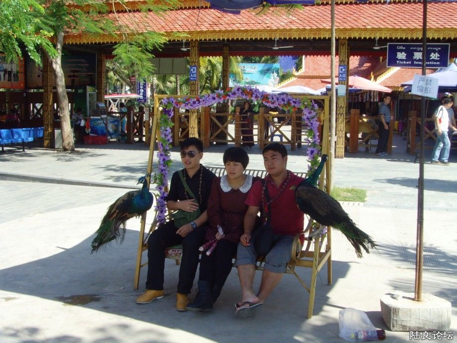 �������˸�����