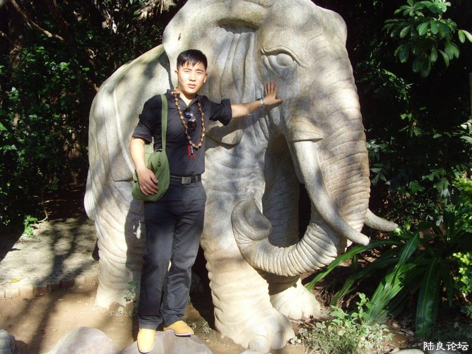 �������˸�����