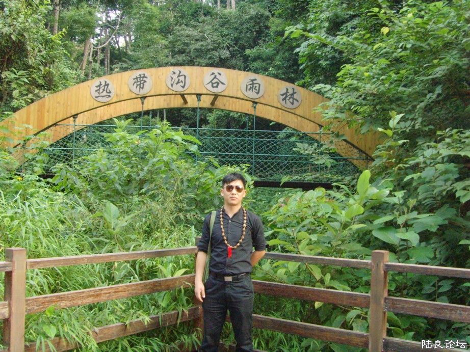 �������˸�����