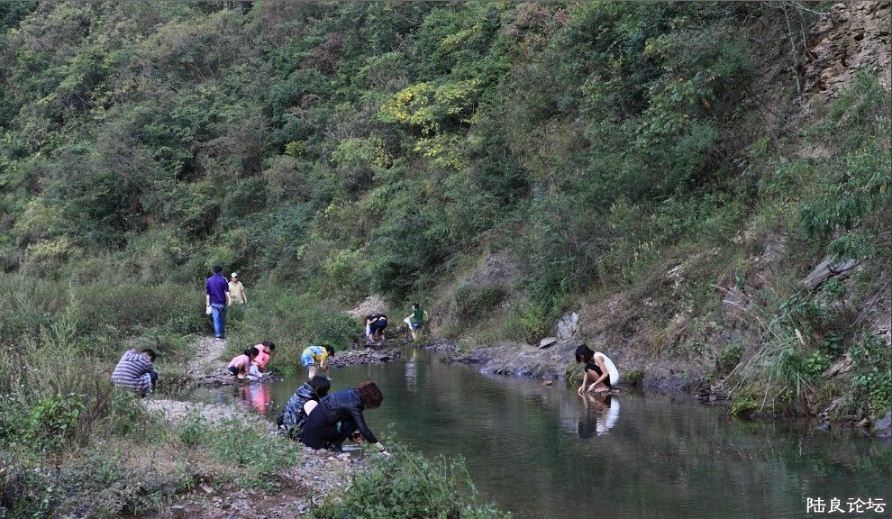 ��Һ� (13).jpg