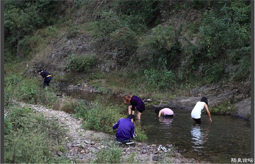 ��Һ� (20).jpg