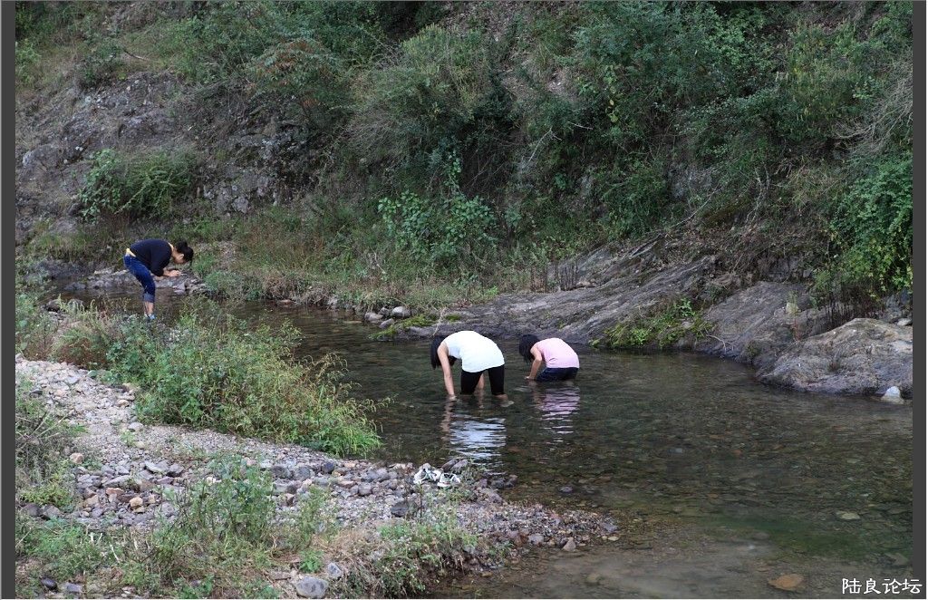 ��Һ� (21).jpg