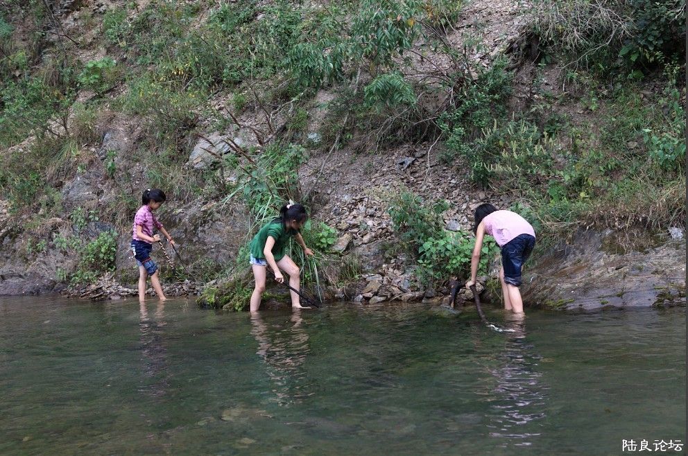 ��Һ� (39).jpg