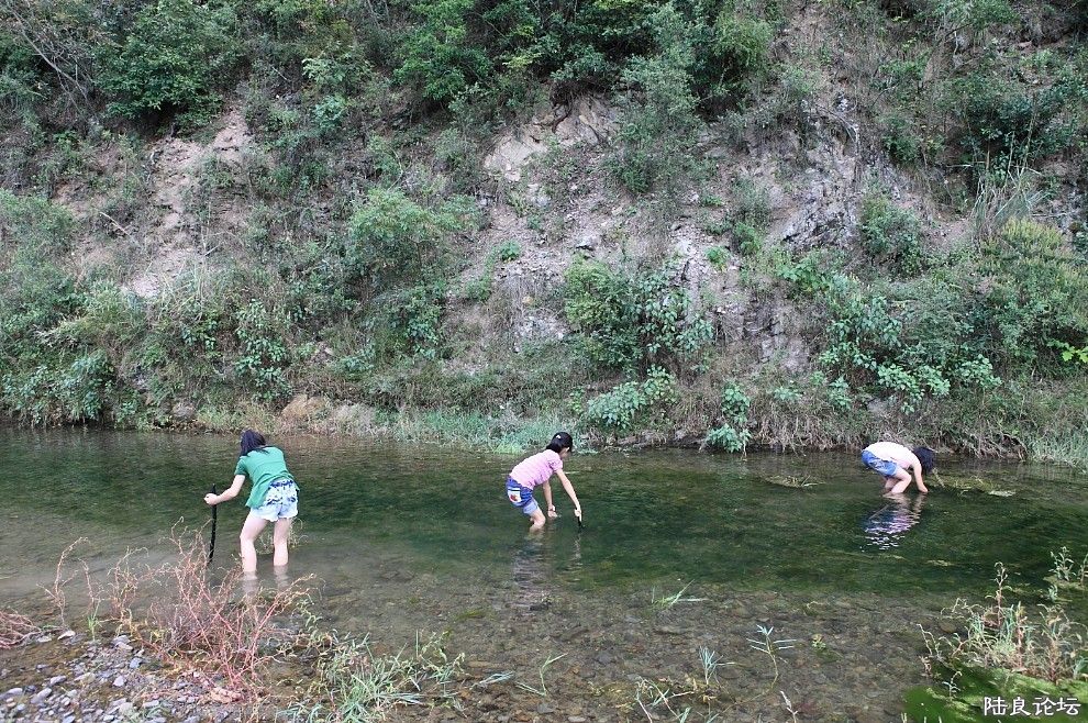 ��Һ� (51).jpg