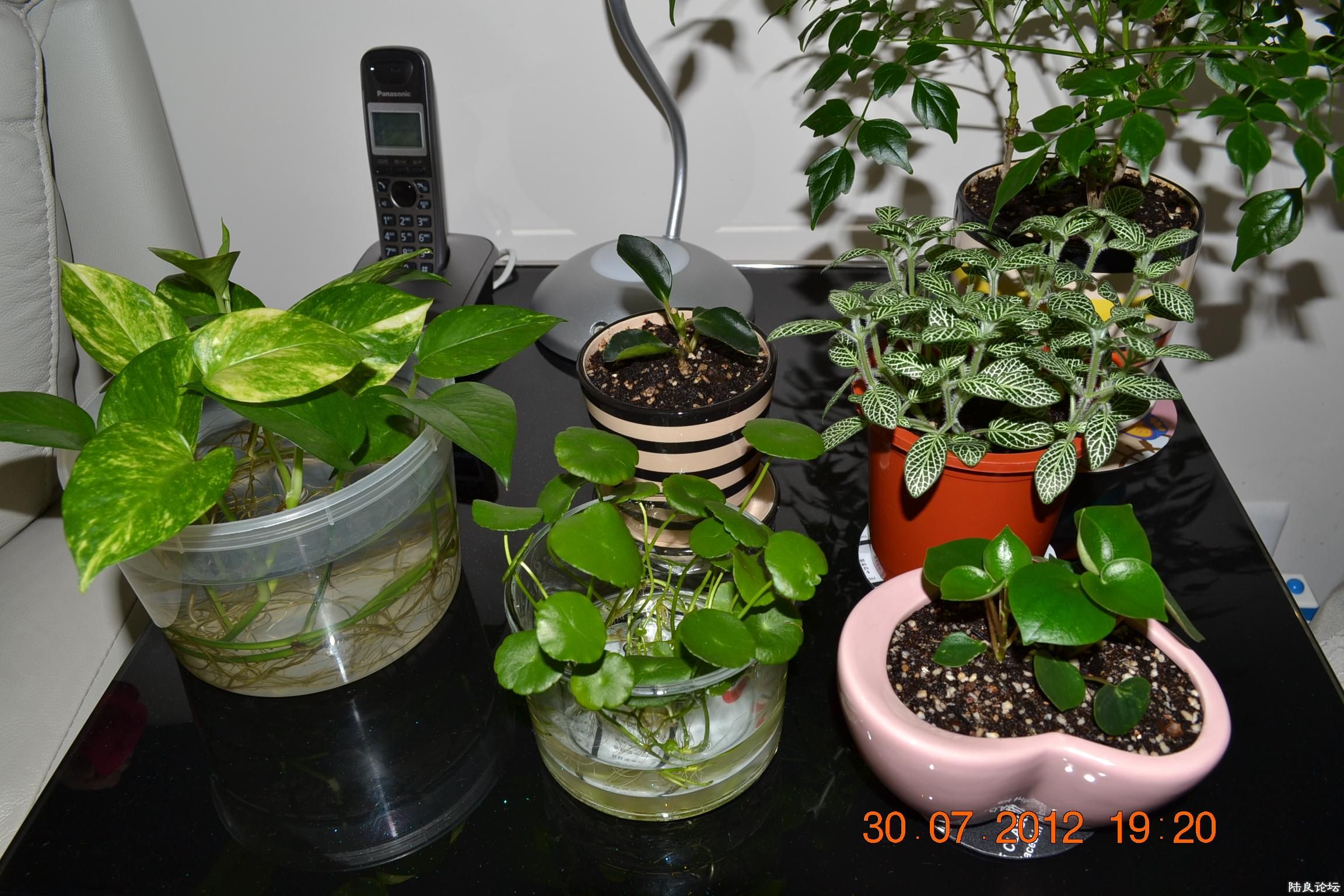 ɳ�l߅��С���@