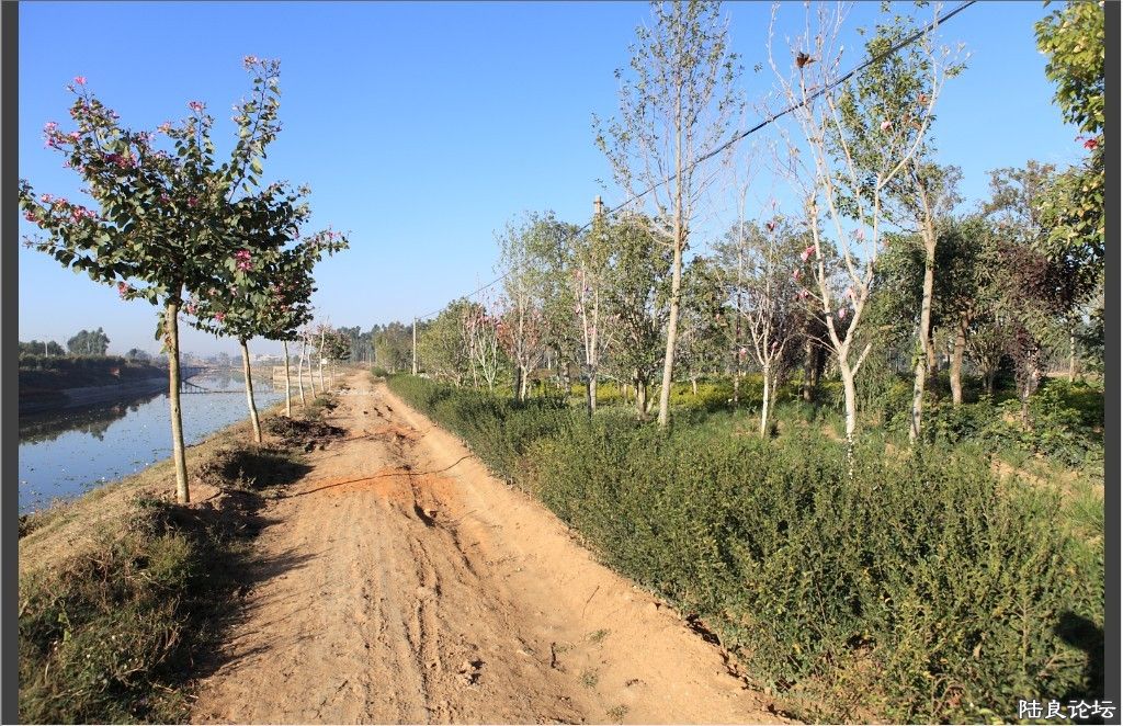 ������԰ (1).jpg