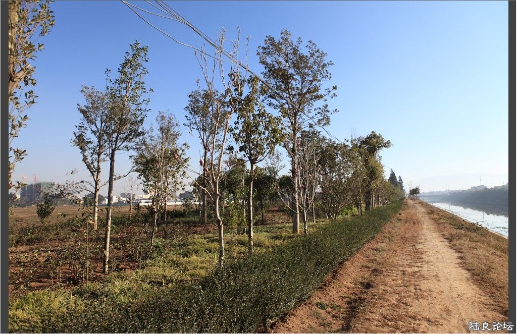 ������԰ (2).jpg