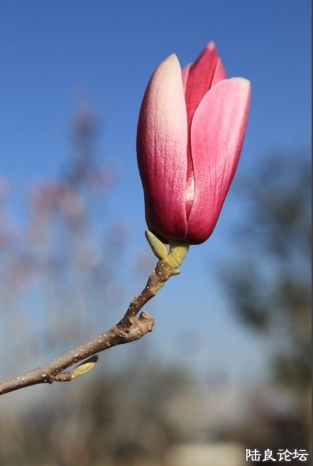 ������԰ (4).jpg