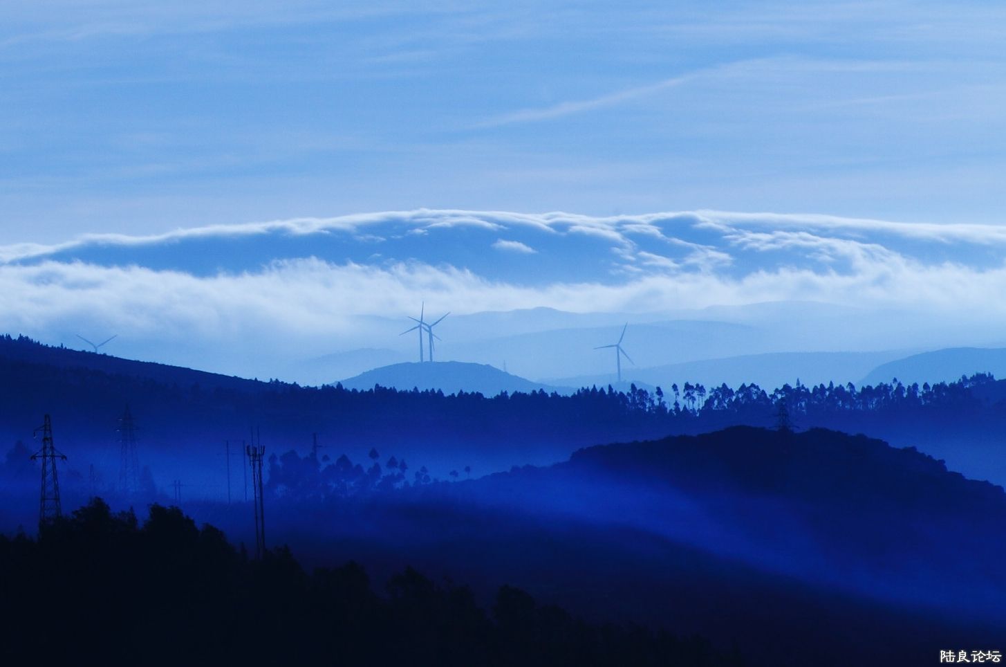 ���� IMG_4954.JPG