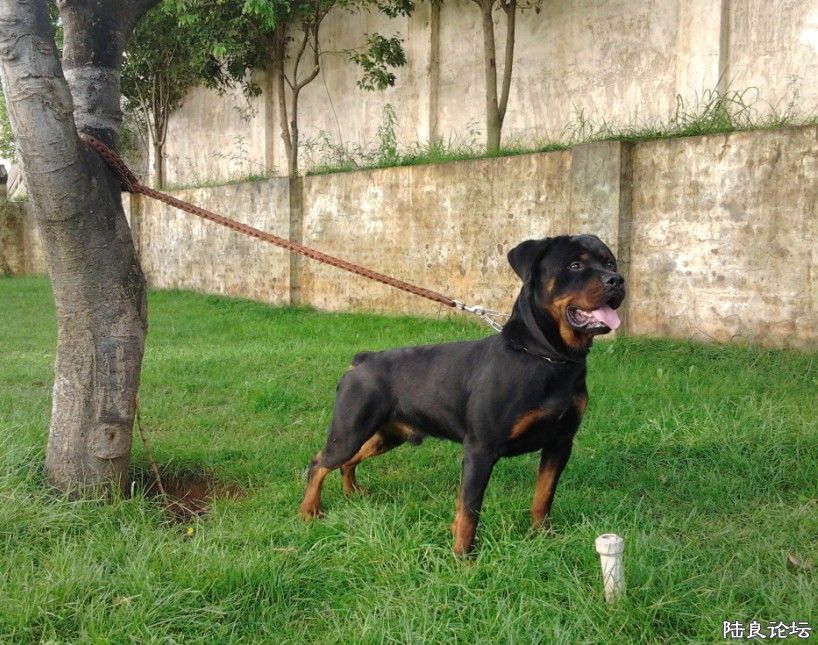 �����7�·ݵ���Ƭ