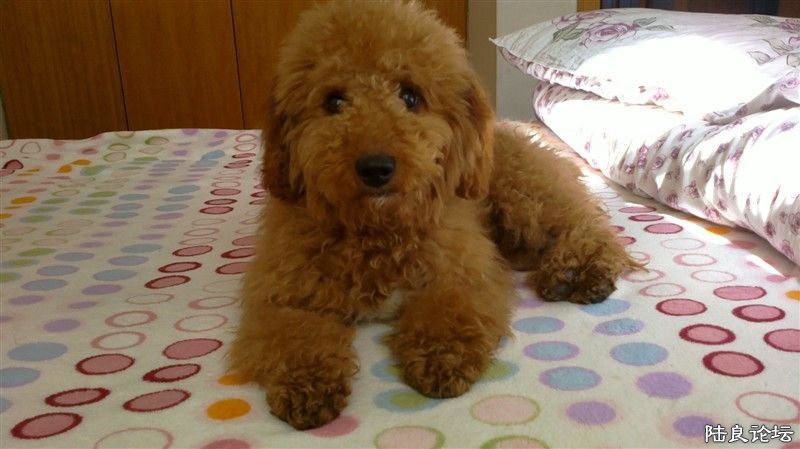 �ҵ�����