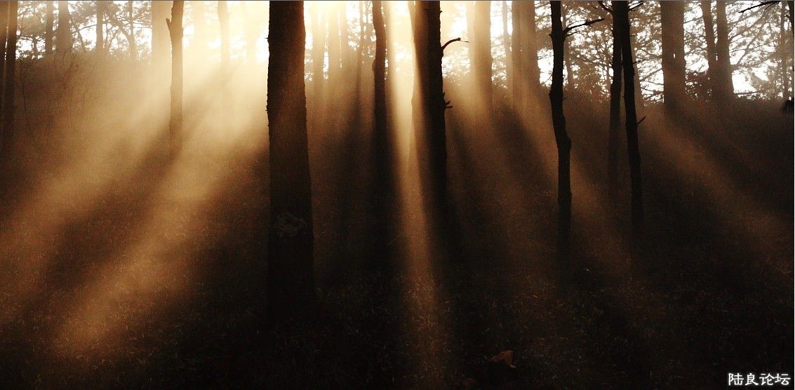 ��������ɽ (5).jpg