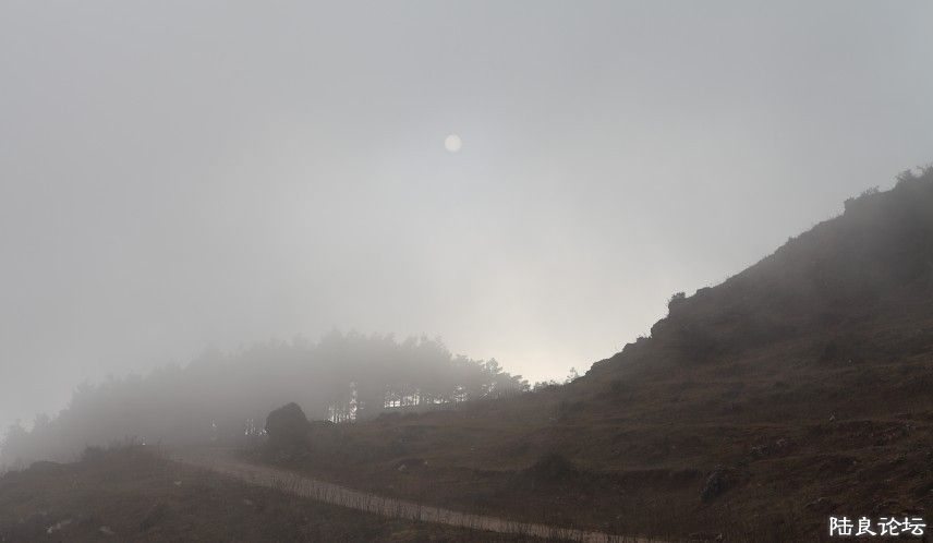 ��������ɽ (7).jpg