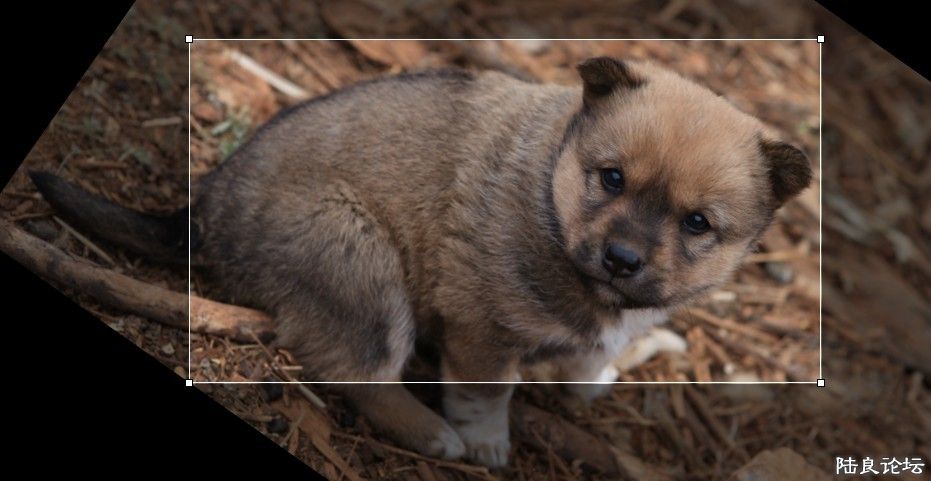 ��������ɽ (8).jpg