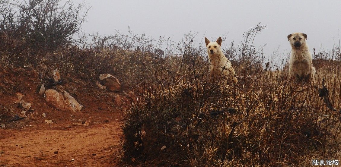 ��������ɽ (11).jpg