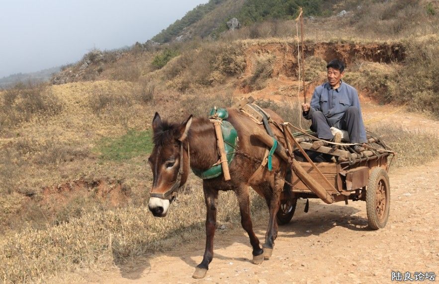 ��������ɽ (14).jpg