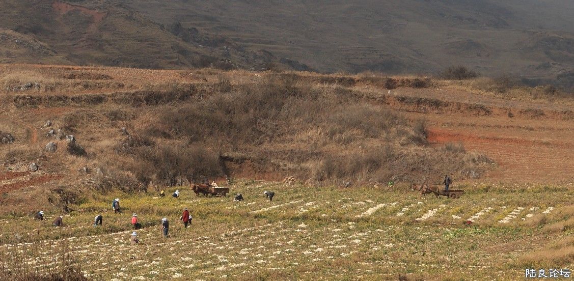 ��������ɽ (15).jpg