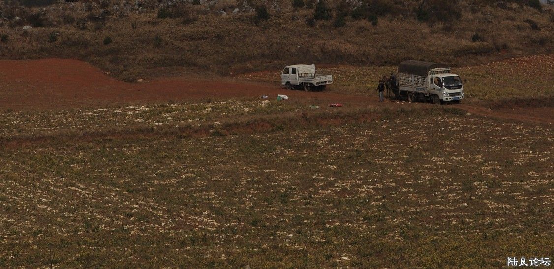 ��������ɽ (16).jpg