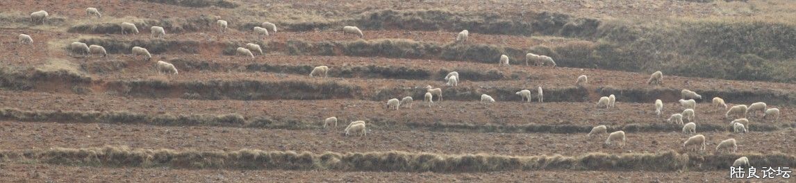 ��������ɽ (21).jpg