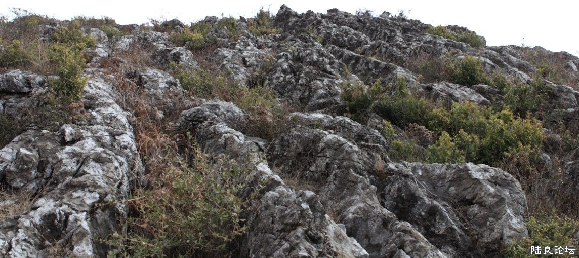 ��������ɽ (22).jpg