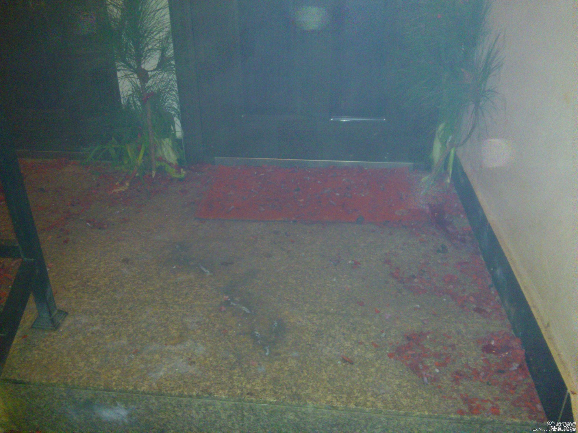 �̱ǵı���ζ