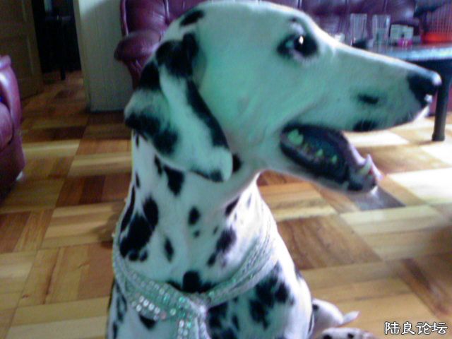 ���ǽ���