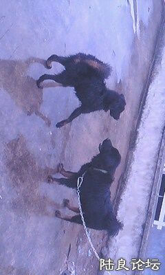 ���� �ڻ�