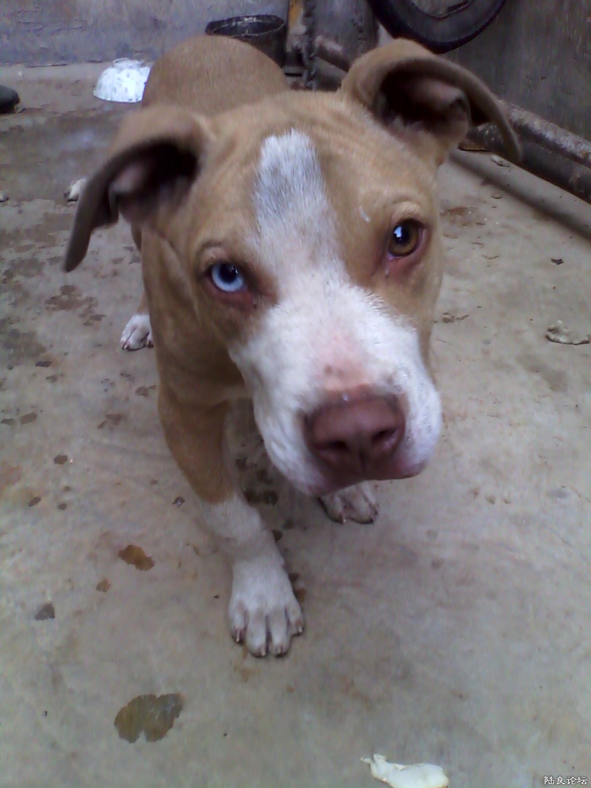 1��������