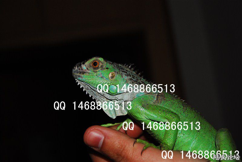 ��ʵ����2