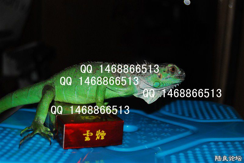 ��ʵ����