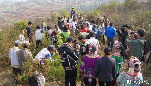 �����ֳ�