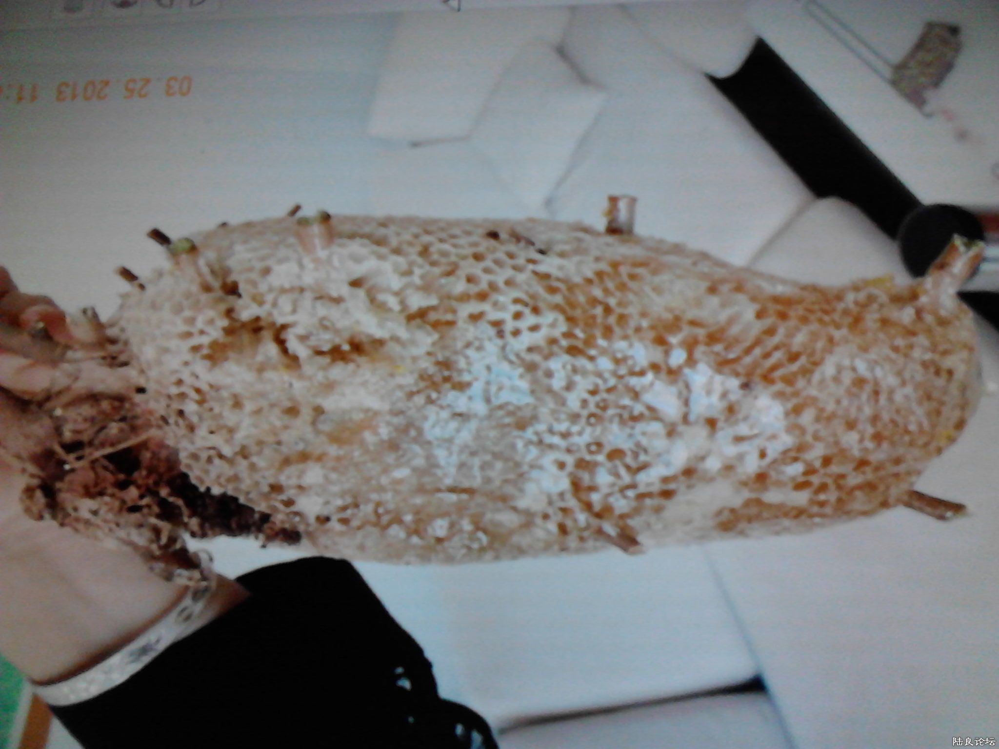 ˼éҰ���ݷ���