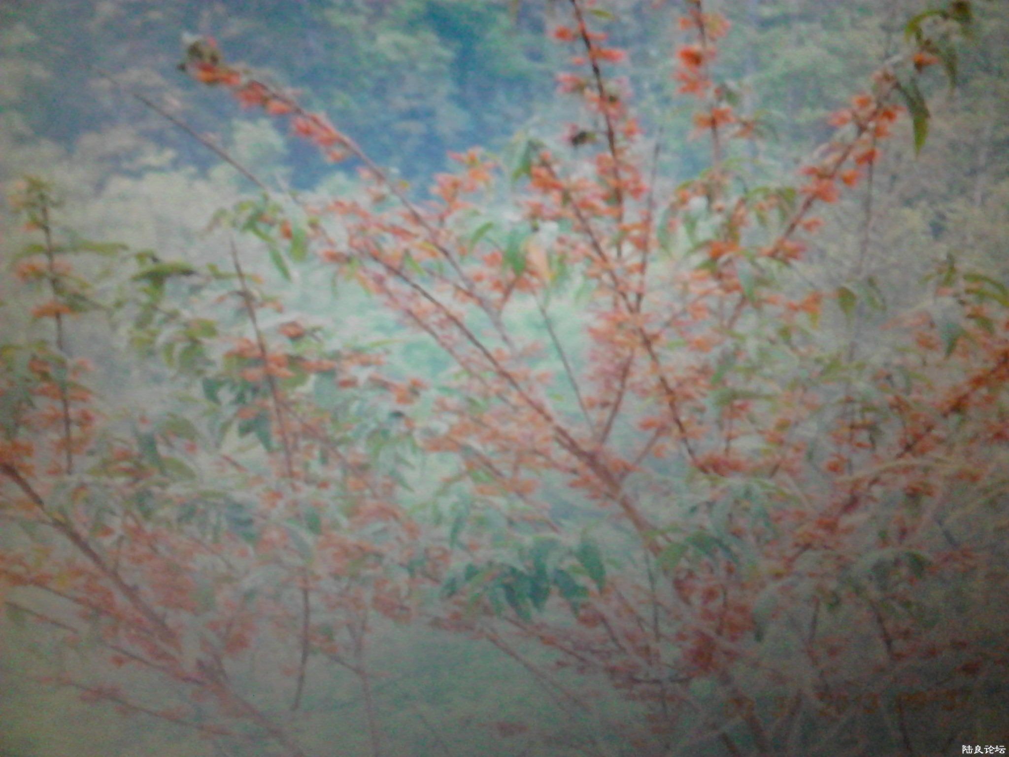 �۷���۵ĺ컨3��ҩ�ģ�