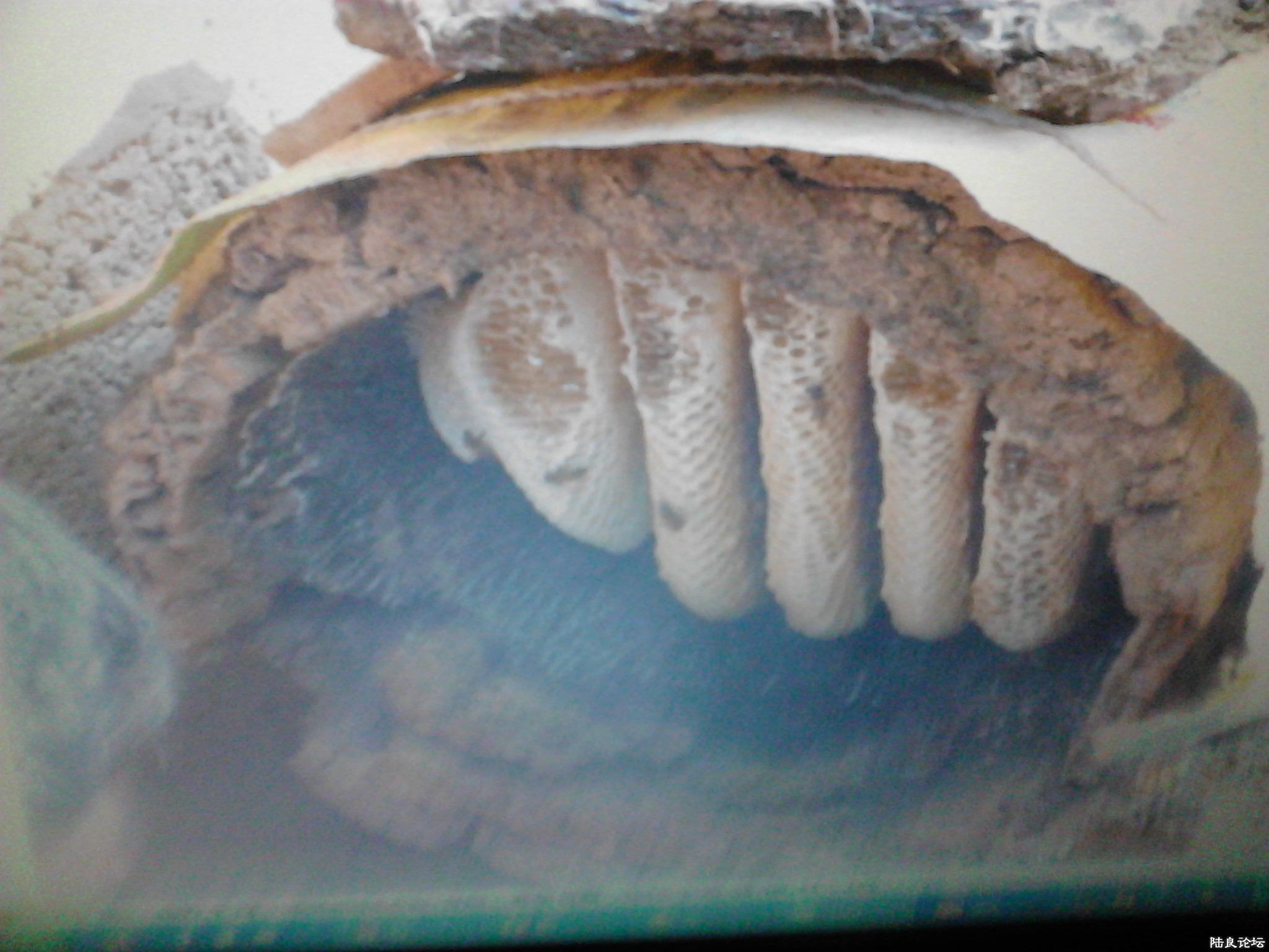 ��Ͱ�еķ���2