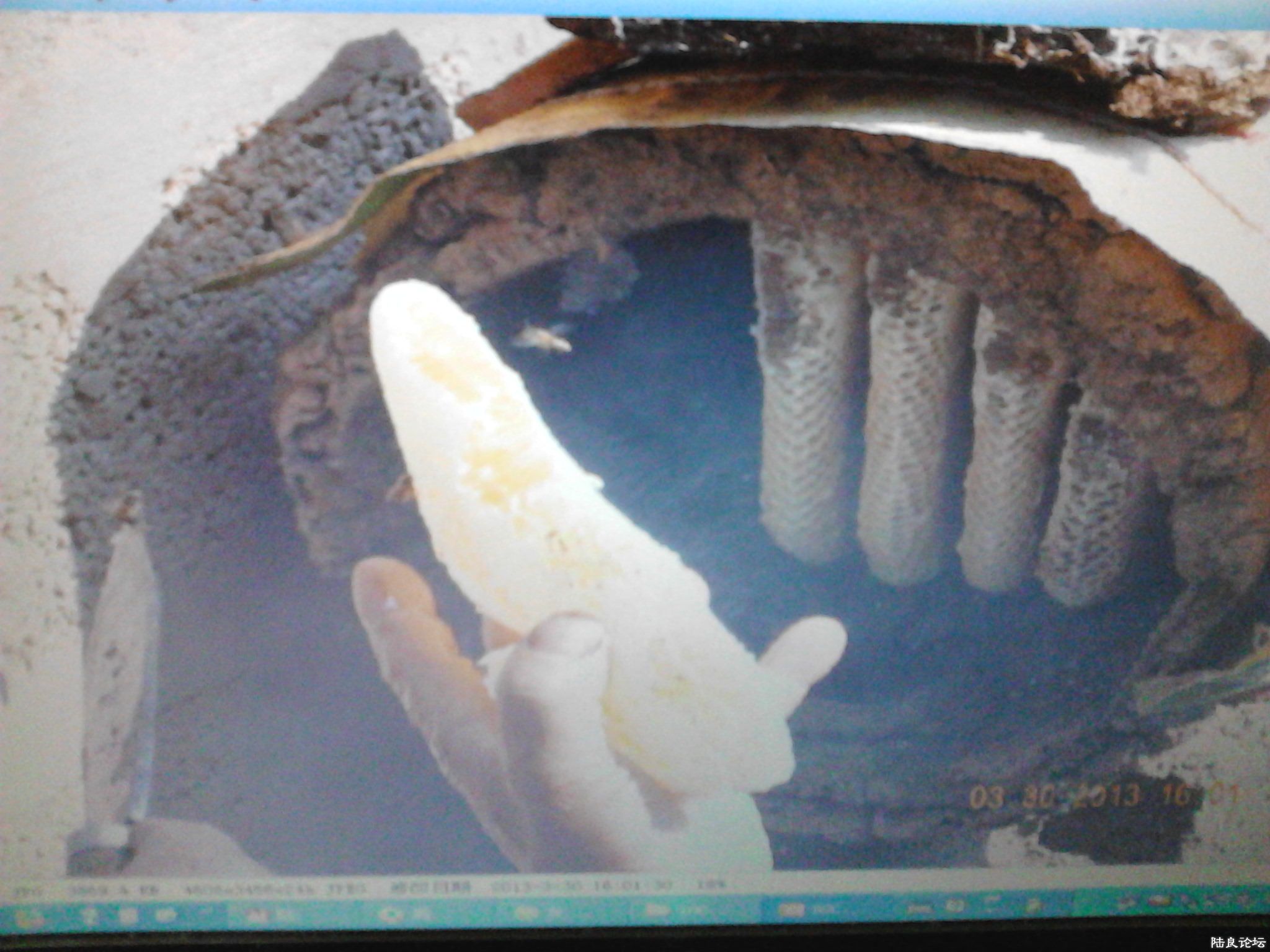 ��Ͱ�еķ���