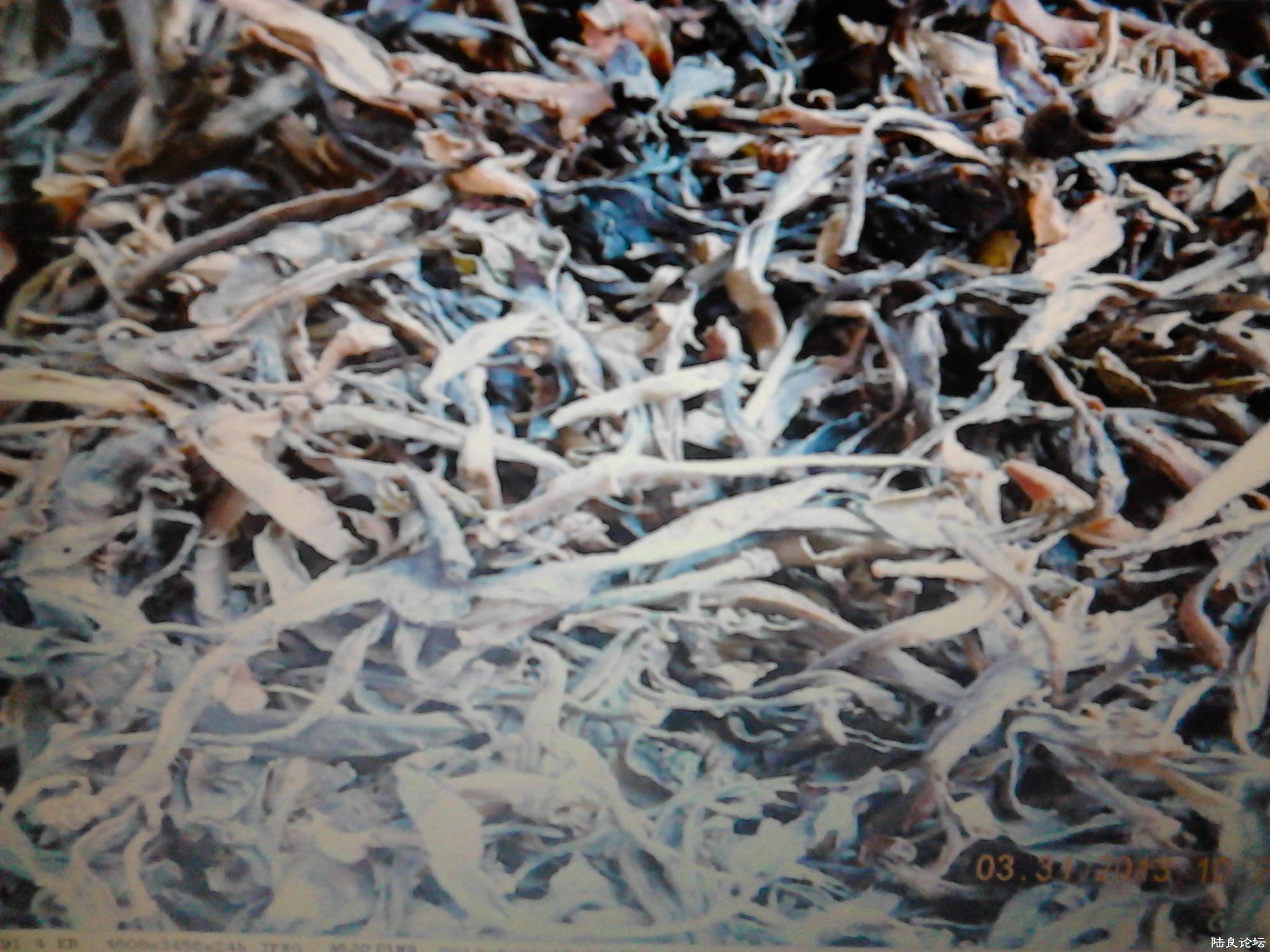 Ұ����̬��