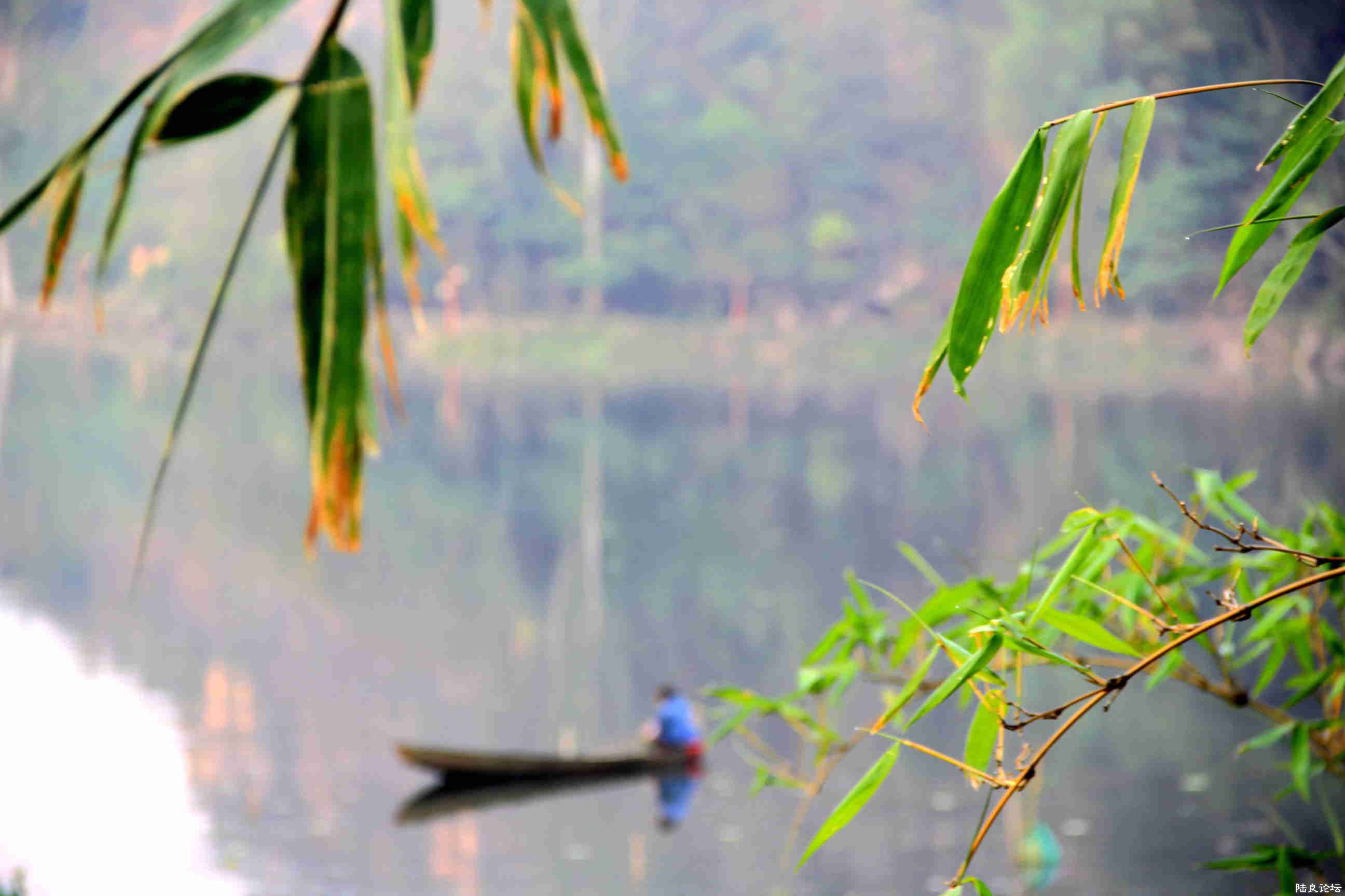 �����ߺ�