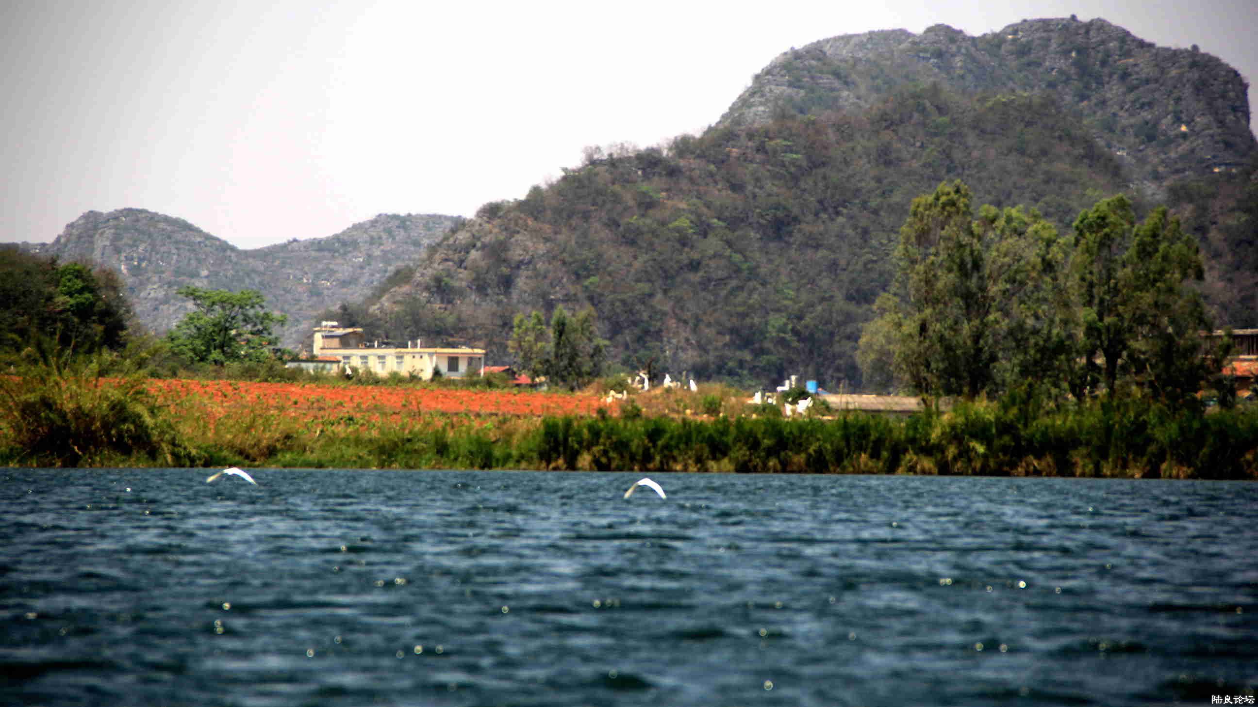 �����ߺ�