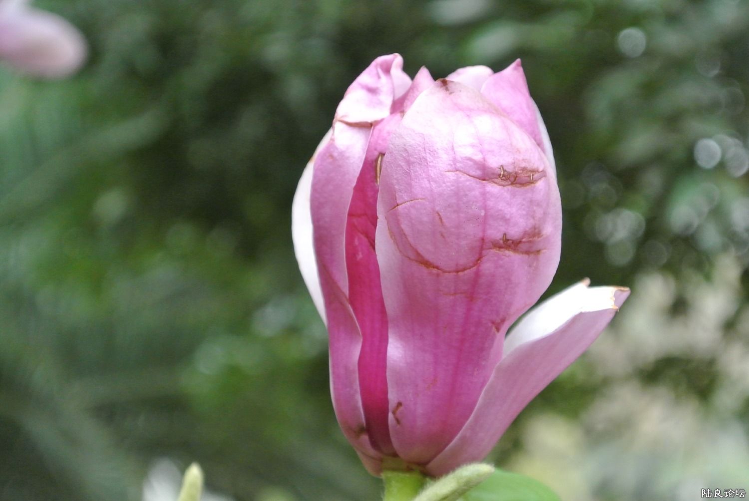 �˺ۻ�����