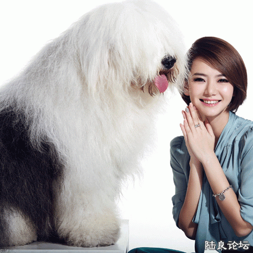 ���� (1).gif