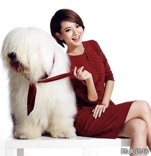 ���� (2).jpg